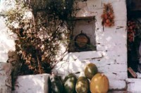 /album/palies-fotografies/a562929-3511966247736-1650138828-n-jpg/